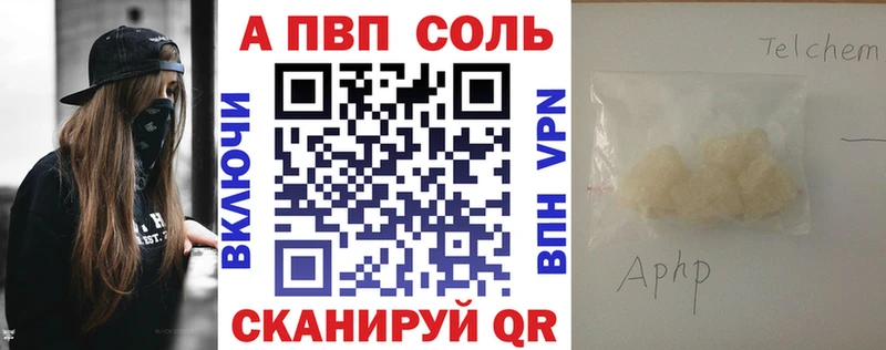 Alfa_PVP СК Волгореченск
