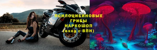 ГАЛЛЮЦИНОГЕННЫЕ ГРИБЫ Белокуриха
