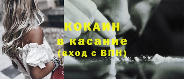 спиды Богданович