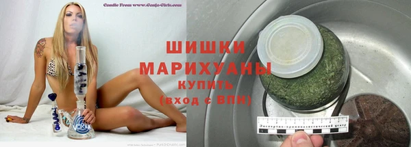 ГАЛЛЮЦИНОГЕННЫЕ ГРИБЫ Белокуриха