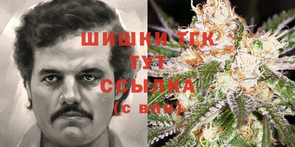 ГАЛЛЮЦИНОГЕННЫЕ ГРИБЫ Белокуриха
