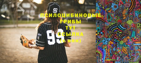 Альфа ПВП Беломорск