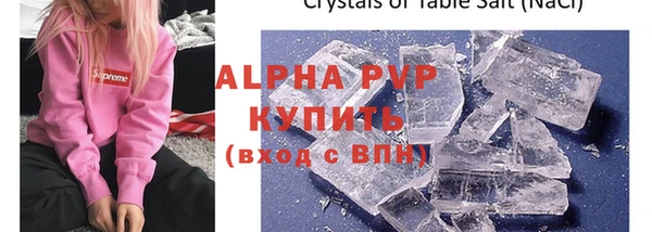 ГАЛЛЮЦИНОГЕННЫЕ ГРИБЫ Белокуриха