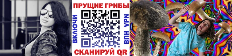 Галлюциногенные грибы Psilocybe KRAKEN ссылки дарк нет наркотические препараты Волгореченск